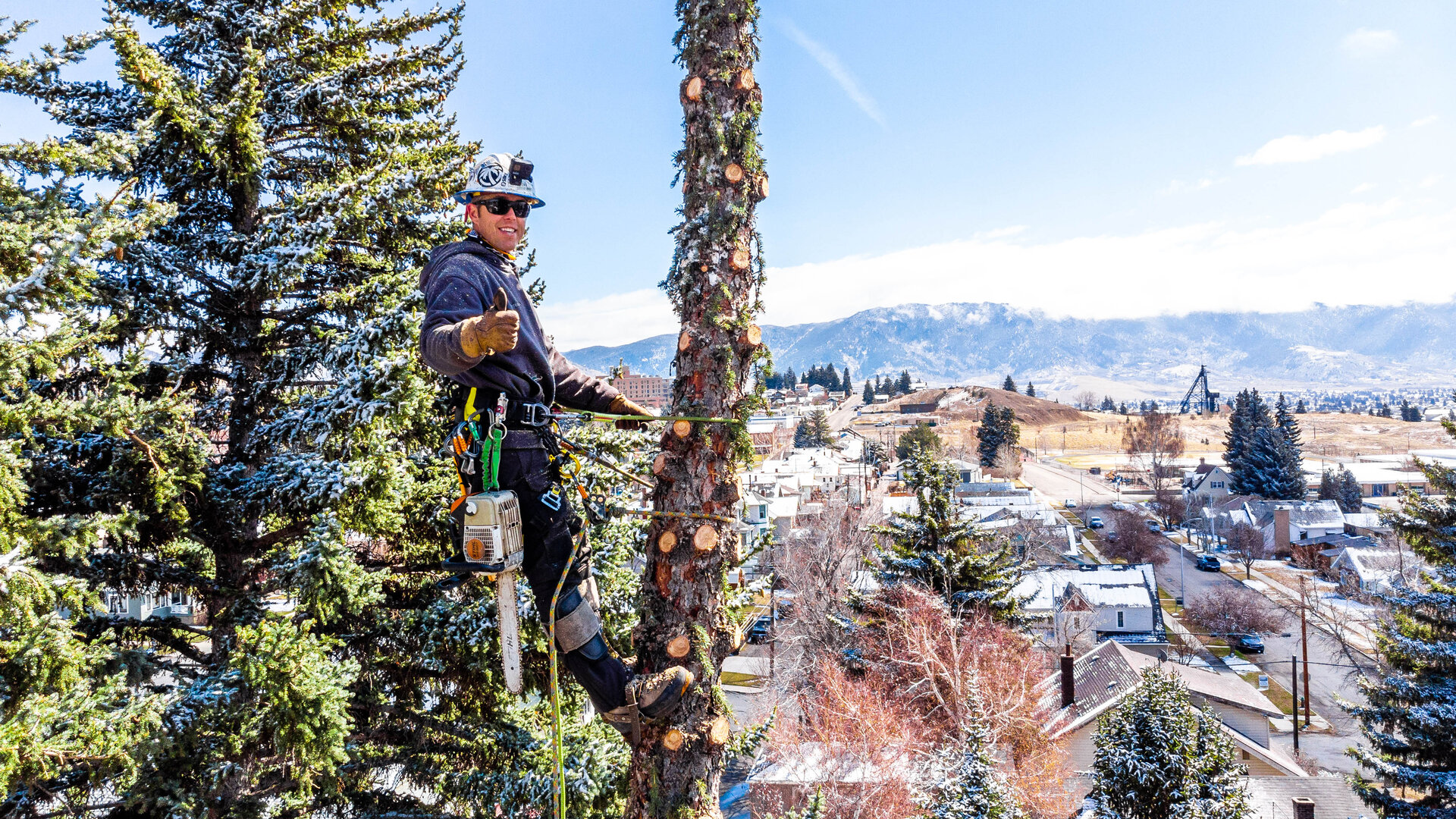 Over The Top arborist climbing high in a tree above the valley